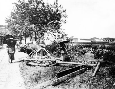 Irrigazione a buoi, Cina, c.1870-80 da European Photographer